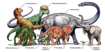 Dinozaury1 Duży.jpeg