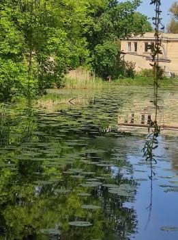 IMG_20250430_100052