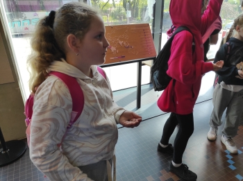 IMG_20250430_114258